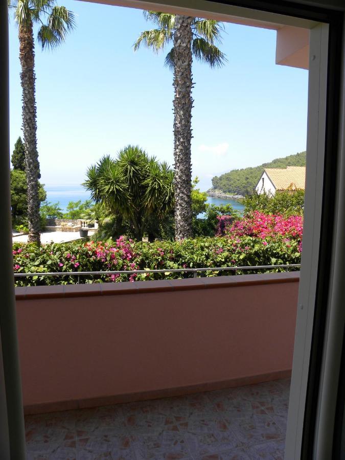 Comfortable Apartment In Maratea With Sea View 95 M² + Parking Eksteriør billede